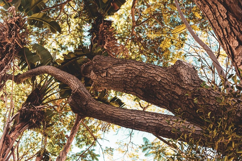 Texture combinations